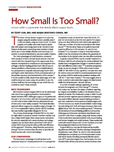 CRS Today Eur How small is too small 2013